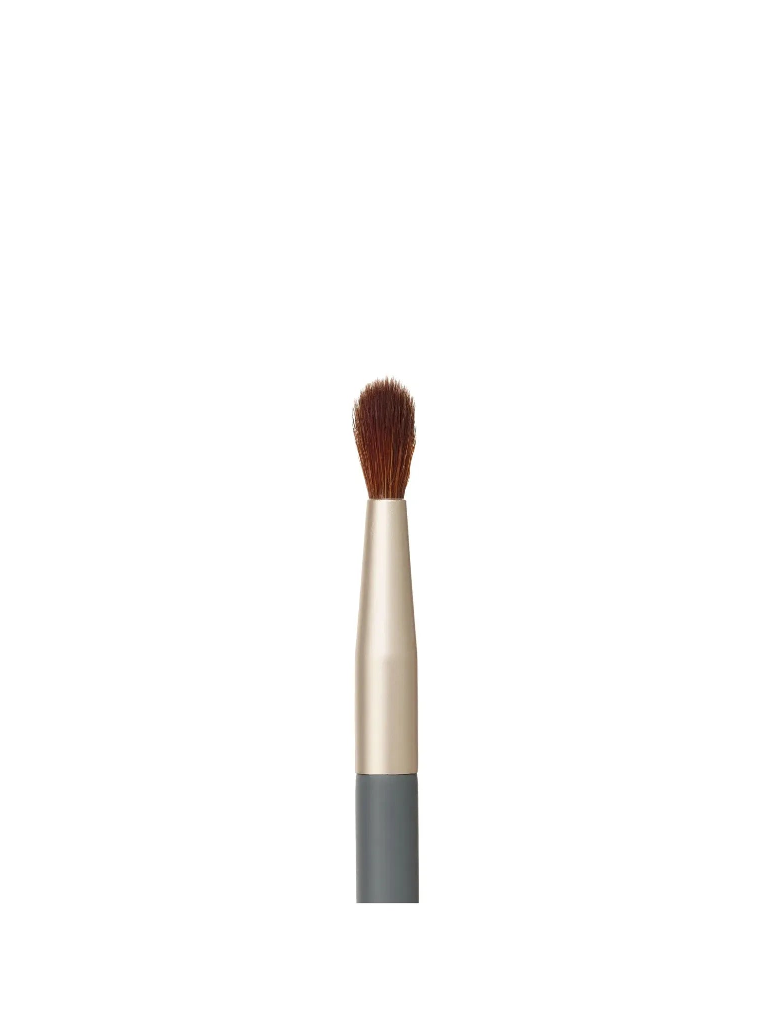 Detail Brush
